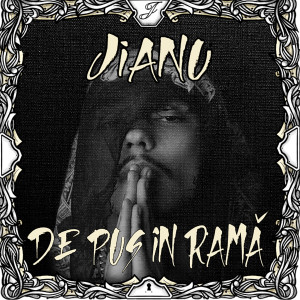 Listen to De Pus In Rama (Explicit) song with lyrics from Jianu