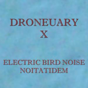收聽Electric Bird Noise的Droneuary X - Noitatidem歌詞歌曲