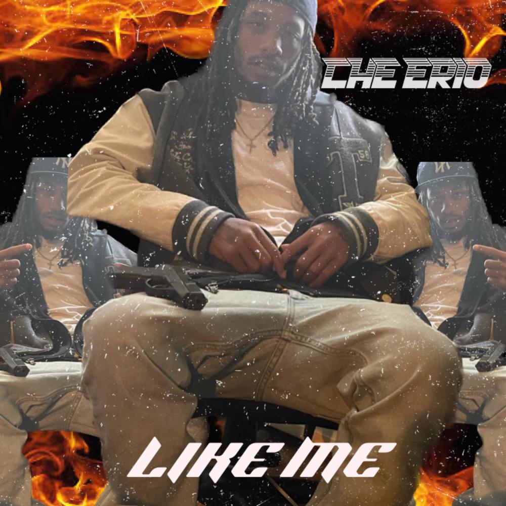 Like Me (Explicit)