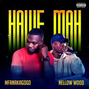 Mfanakagogo的專輯Hawe Mah (Explicit)