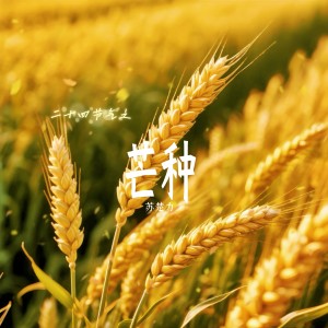 收聽蘇丹的芒種 二十四節氣 (完整版)歌詞歌曲