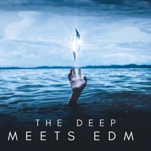 The Deep Meets EDM dari Various