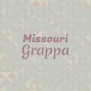 Various的专辑Missouri Grappa