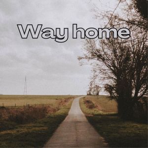 อัลบัม Way Home ศิลปิน 2strings