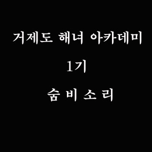 收听Donghae (Super Junior)的숨비소리歌词歌曲