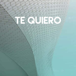 Listen to Te Quiero song with lyrics from Los Reggaetronics