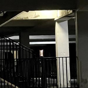 ดาวน์โหลดและฟังเพลง RITUAL MISERY (feat. [REDACTED]) (Explicit) พร้อมเนื้อเพลงจาก $erene