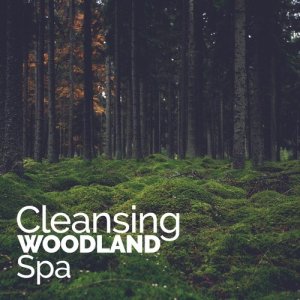 SPA Music的專輯Cleansing Woodland Spa