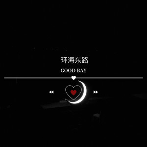 Album 环海东路 from 苏二零