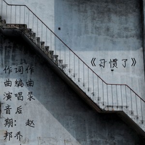 Listen to 习惯了 (伴奏) song with lyrics from 赵邦乔