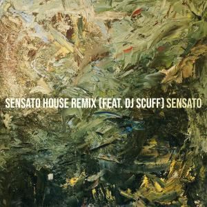 Sensato的專輯Sensato House (Remix)