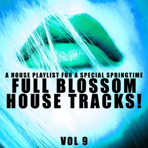 Listen to To Dis (Club Mix) song with lyrics from Robert Reston
