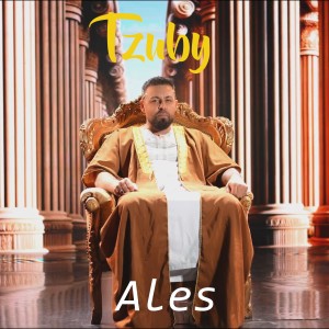 Listen to Ales song with lyrics from Tzuby