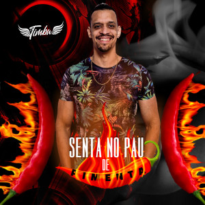 Listen to Senta no Pau de Pimenta song with lyrics from MC Timbu