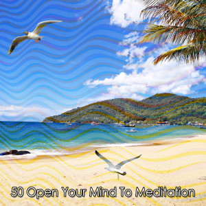 Album 50 Open Your Mind To Meditation oleh Music for Reading