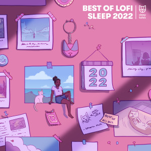 Album Best of Lofi Sleep 2022 oleh Various   Artists
