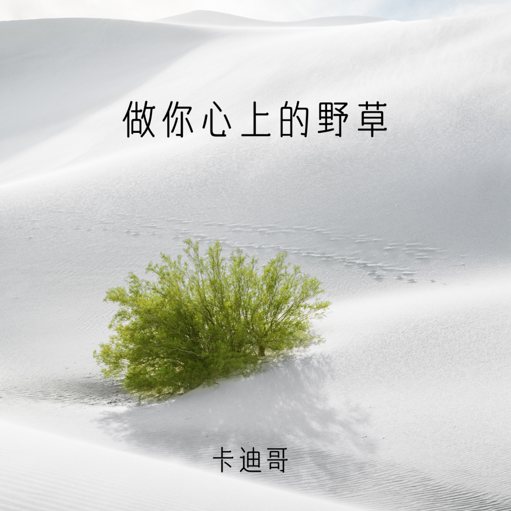 做你心上的野草 (伴奏)