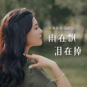 Album 雨在飘泪在掉 from 