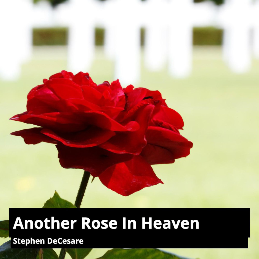 Another Rose in Heaven