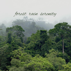 Piano Radiance的專輯Forest Rain Serenity