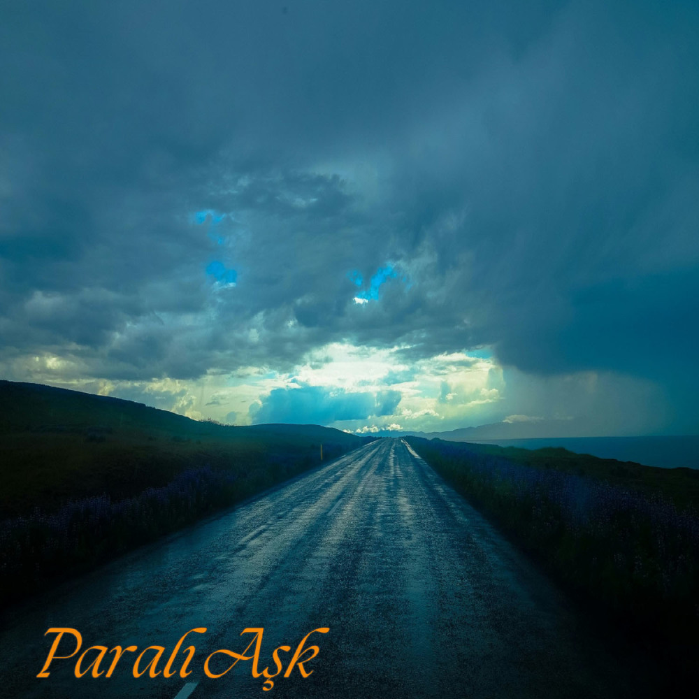 Paralı Aşk