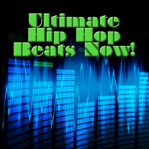 อัลบัม Ultimate Hip Hop Beats Now! ศิลปิน Hip Hop DJ Masters