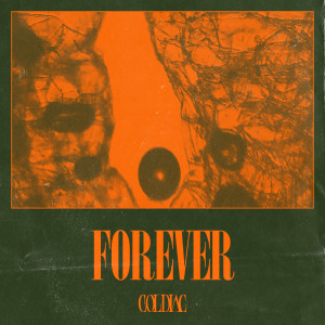 อัลบัม Forever ศิลปิน Coldiac