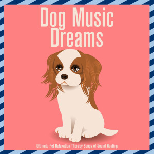 Album Dog Music Dreams : Ultimate Pet Relaxation Therapy Songs of Sound Healing from Dog Music Zone