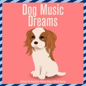 Album Dog Music Dreams : Ultimate Pet Relaxation Therapy Songs of Sound Healing from Relaxmydog