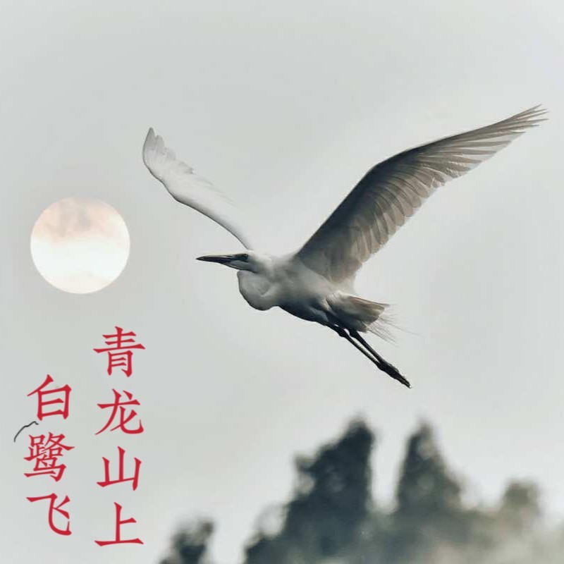 青龙山上白鹭飞（女中音版） (完整版)