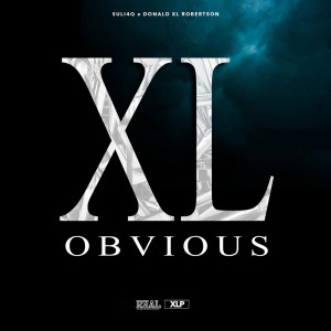 Listen to OBVIOUS song with lyrics from Suli4Q