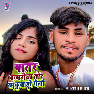 Listen to Patar Kamriya Tor Tarbuja Ho Gailo song with lyrics from Mukesh Muku