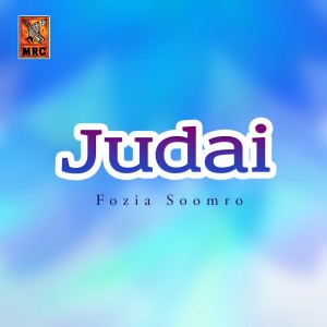 Dengarkan Nindi Houndi Parein lagu dari Fozia Soomro dengan lirik