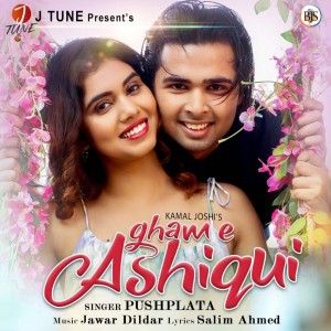 ดาวน์โหลดและฟังเพลง Gham E Ashiqui พร้อมเนื้อเพลงจาก Pushplata