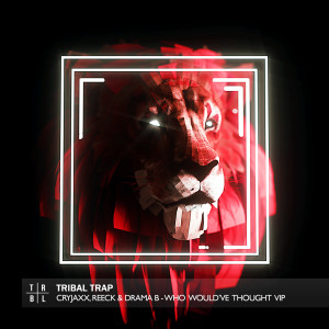 Listen to Who Would've Thought (Vip) song with lyrics from CryJaxx