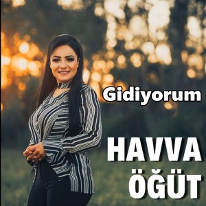 Album Gidiyorum from Havva Öğüt