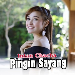 Dengarkan Pingin Sayang lagu dari Intan Chacha dengan lirik