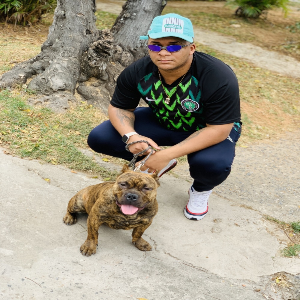 Pitbull Treinado (Explicit)