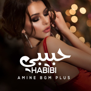 收听أمين بجم بلوس的حبيبي歌词歌曲