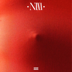 Moli的專輯NINA (Explicit)