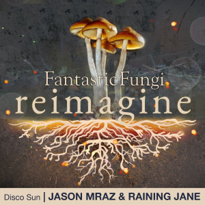 收聽Jason Mraz的Disco Sun (Fantastic Fungi: Reimagine)歌詞歌曲