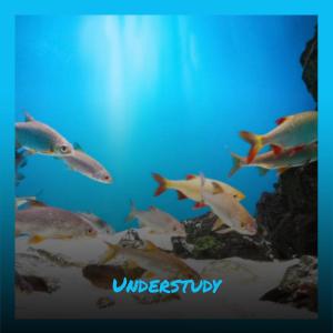 Listen to Understudy song with lyrics from Timoy Glan
