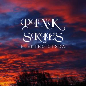 Album Pink Skies from Elektro Otsoa