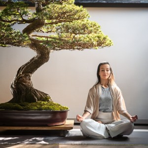 ดาวน์โหลดและฟังเพลง Floating on the Silence of the Pond พร้อมเนื้อเพลงจาก Meditation Songs Guru