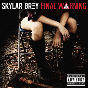 收聽Skylar Grey的Final Warning歌詞歌曲