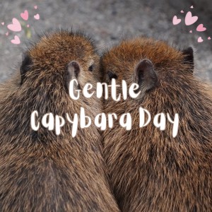 カピ王國的專輯GENTLE CAPYBARA DAY