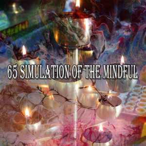 Listen to Freshly Enlightened song with lyrics from Massage Tribe