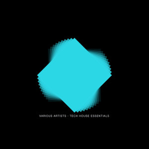 Various的专辑Tech House Essentials