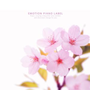 Album Healing piano collection with warm spring sunshine from Various Artists