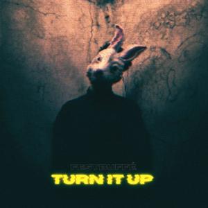 Album Turn It Up oleh Festbuffé